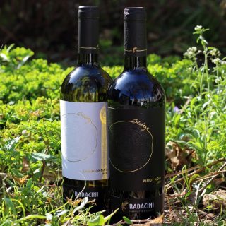 In het lentepakket Heerlijk ontdekken: Wijnen van Radacini uit Moldavië, Codru De rode wijn is gemaakt van 100% Pinot Noir, een druif waar wij erg fan van zijn vanwege de soepele en fruitige wijnen die er van gemaakt worden. Dat geldt ook voor deze wijn. De wijn heeft een mooie licht rode kleur. Fijne neus met veel rood fruit en wat specerijen. Mooie lange afdronk. Wijn kan iets gekoeld worden gedronken. De witte wijn heeft een mooie goudgele kleur. Geur van rijp fruit en vanille. Mooie volle en romige smaak met een lange afdronk en ook aangename zuren. Geen saaie Chardonnay dus. Deze wijn niet te koud drinken. Achtergrond van het wijnhuis Radacini is een vooraanstaande producent in Moldavië. Zij produceren wijnen met veel fruit en karakter. De wijngaarden zijn gelegen op zo’n 30 kilometer van de Zwarte Zee, nabij de Dnjestr rivier. De bodem is zware zwarte leemachtige klei. De druiven worden midden oktober handmatig geplukt en zorgvuldig op kwaliteit geselecteerd. #wijnvankees #wijn #wijnenwijnenwijnen #seizoenswijn #seizoenspakket #heerlijkontdekken #lekkerproeven #radacini #moldavie #pinotnoir #chardonnay